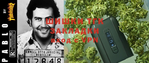 винт Алзамай