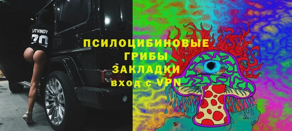 хмурый Алексеевка