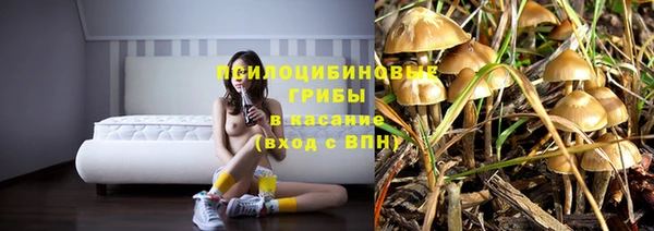 хмурый Алексеевка