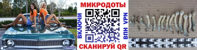 Псилоцибиновые грибы мухоморы  где найти   Заинск 