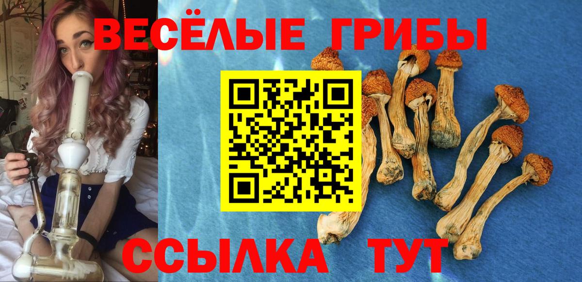 Галлюциногенные грибы мухоморы Заинск