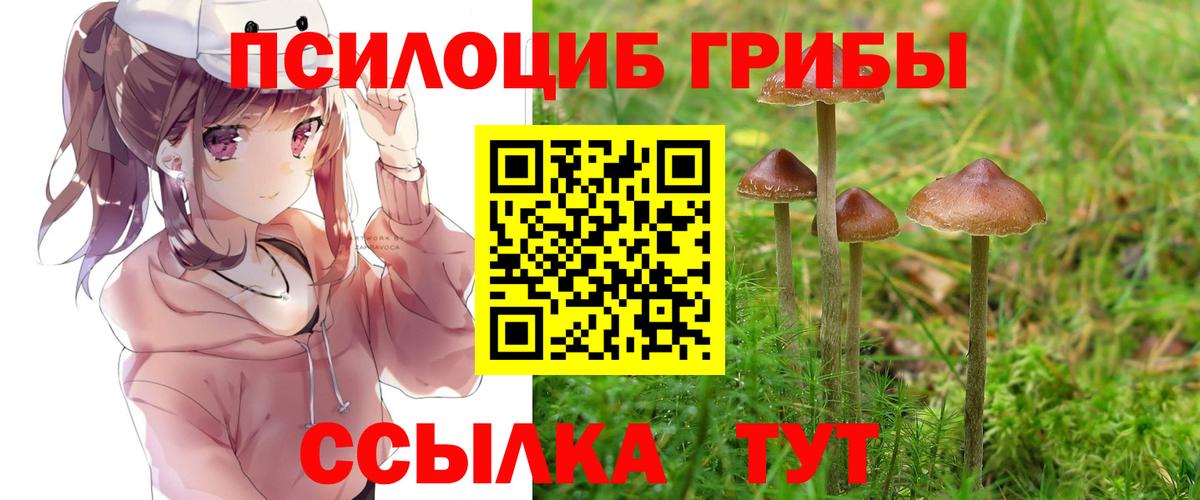 Галлюциногенные грибы Cubensis  Вход с VPN  Заинск 