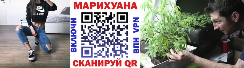 Шишки марихуана сатива  купить  цена  Заинск 
